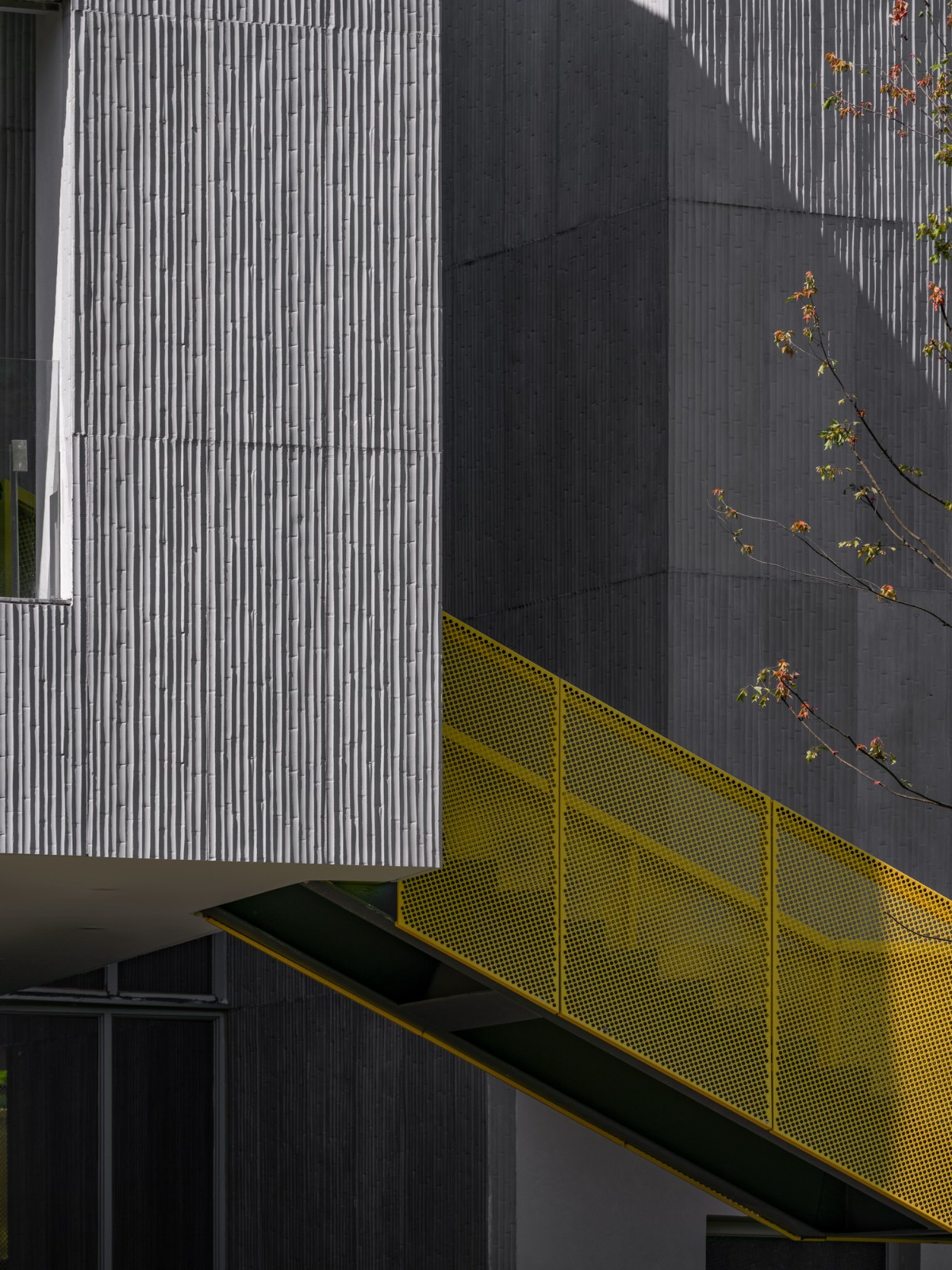 BIM建筑|基于空间叙事的乡村建筑改造实践探索 / 上海交通大学设计学院杜春宇团队