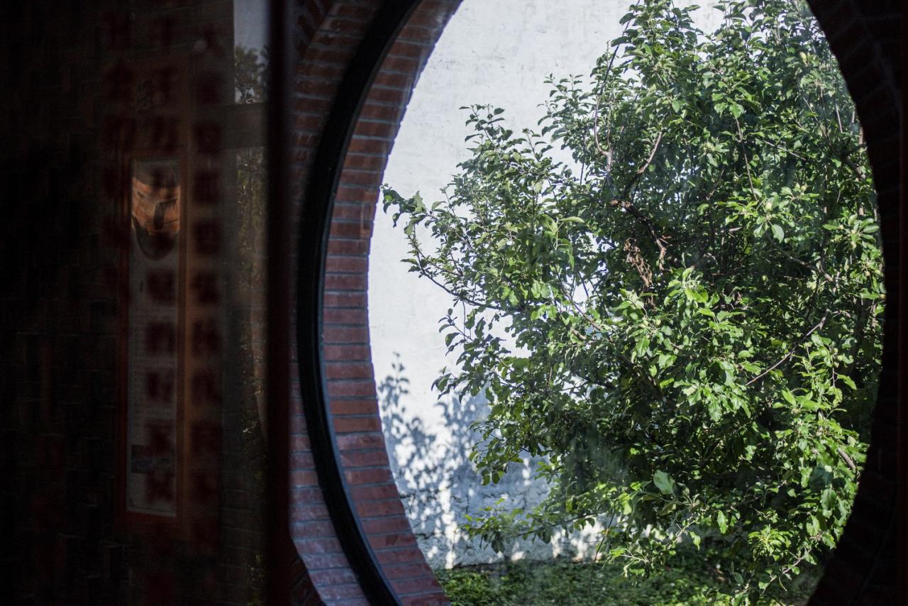 BIM建筑|李桂芬乡村综合体 / 山东省城乡规划设计研究院有限公司建筑创作中心