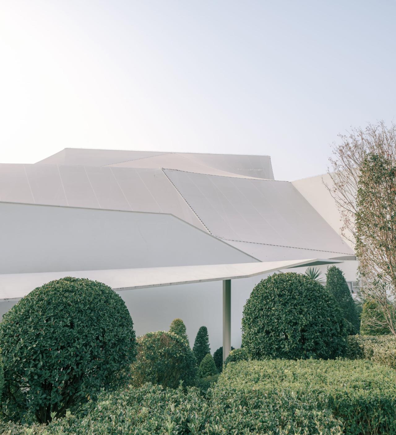 BIM建筑|麓湖一片森林儿童博物馆 / 大料建筑