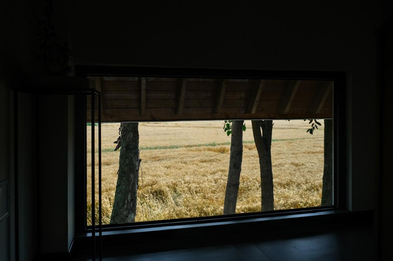 BIM建筑|跨越千年农耕生活的对谈：新都·百草香庐 / 小隐建筑