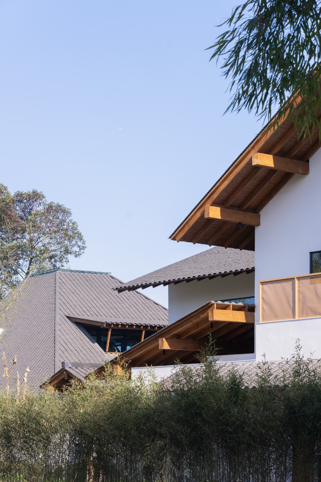 BIM建筑|跨越千年农耕生活的对谈：新都·百草香庐 / 小隐建筑