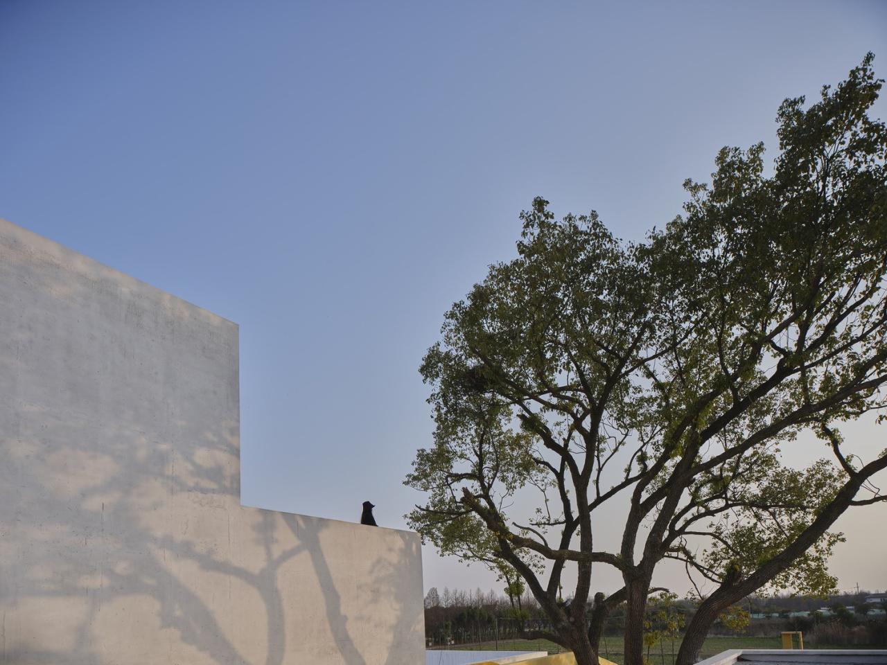 BIM建筑|“q” Center —上海廊下村民活动中心 / Atelier tf + ppas