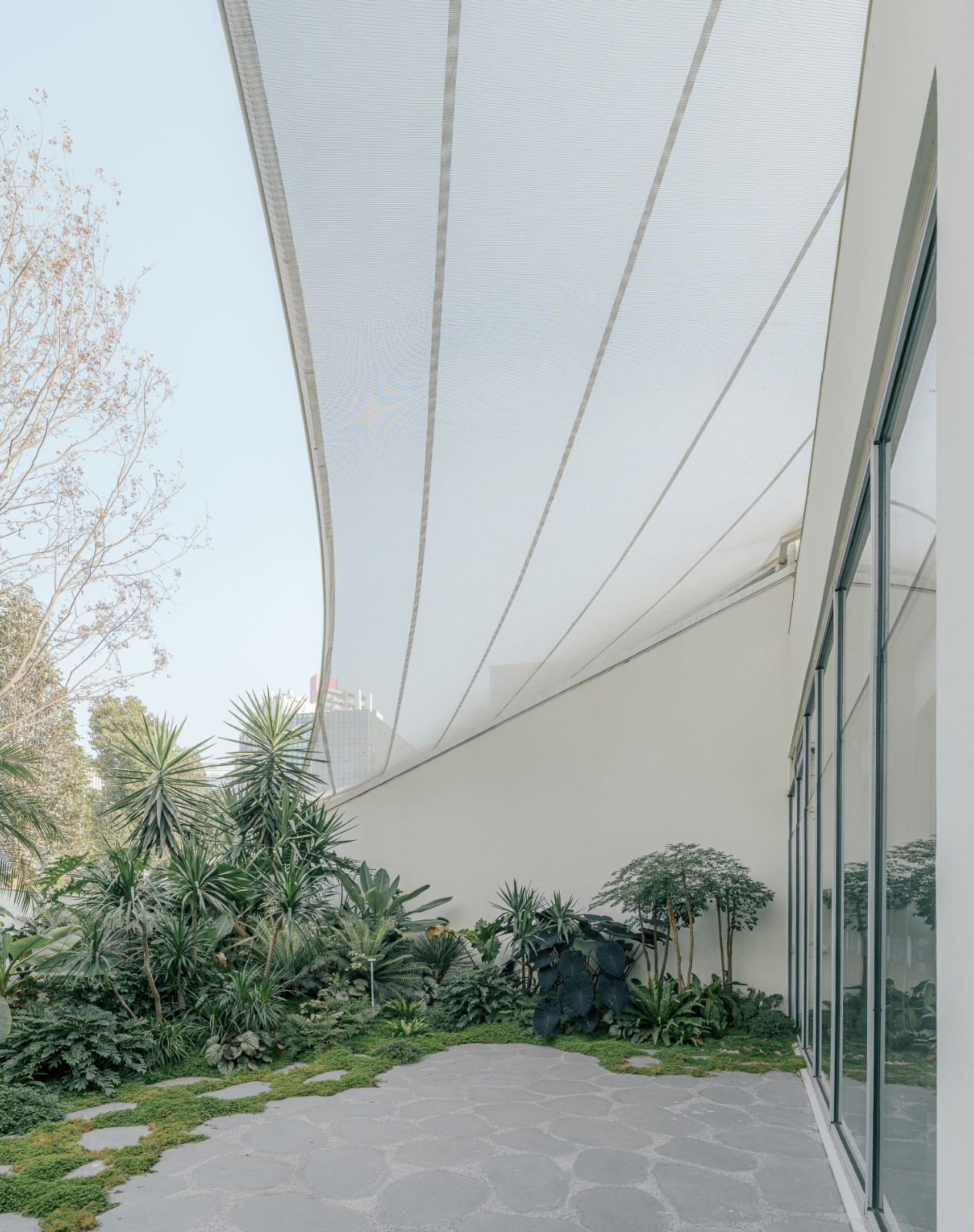 BIM建筑|麓湖一片森林儿童博物馆 / 大料建筑