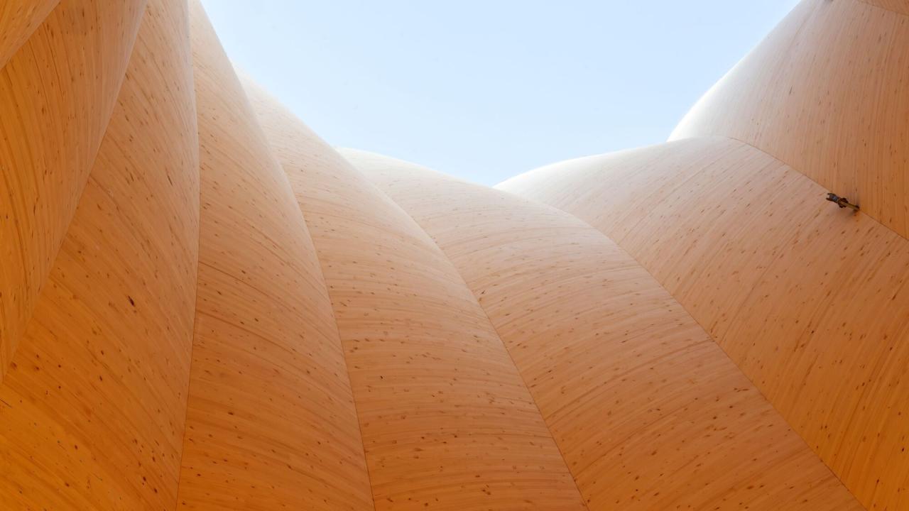 BIM建筑|Wangen 塔 / ICD/ITKE/IntCDC 斯图加特大学 BIM建筑|Wangen 塔 / ICD/ITKE/IntCDC 斯图加特大学