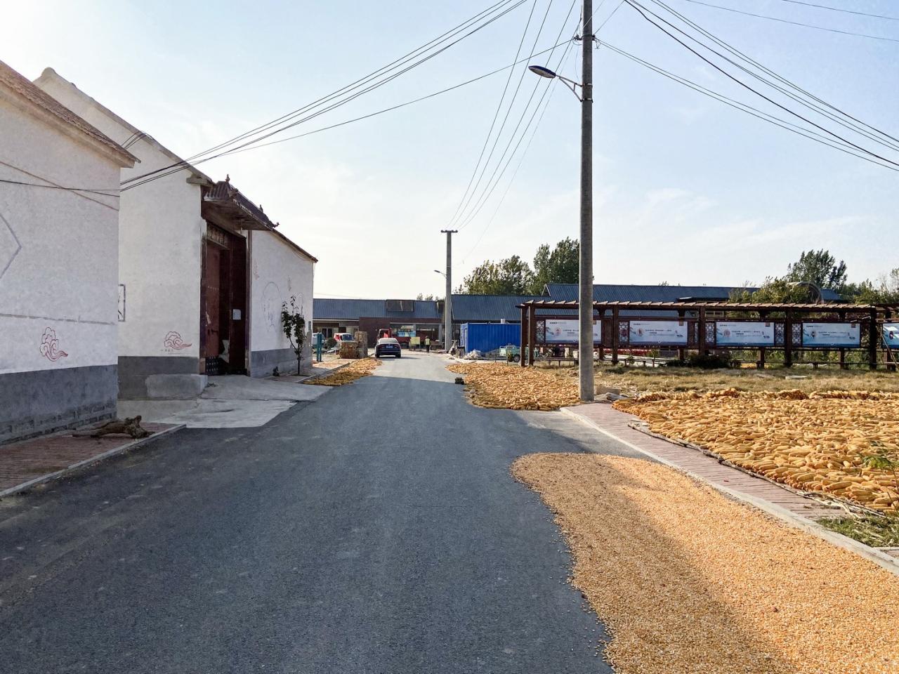 BIM建筑|李桂芬乡村综合体 / 山东省城乡规划设计研究院有限公司建筑创作中心