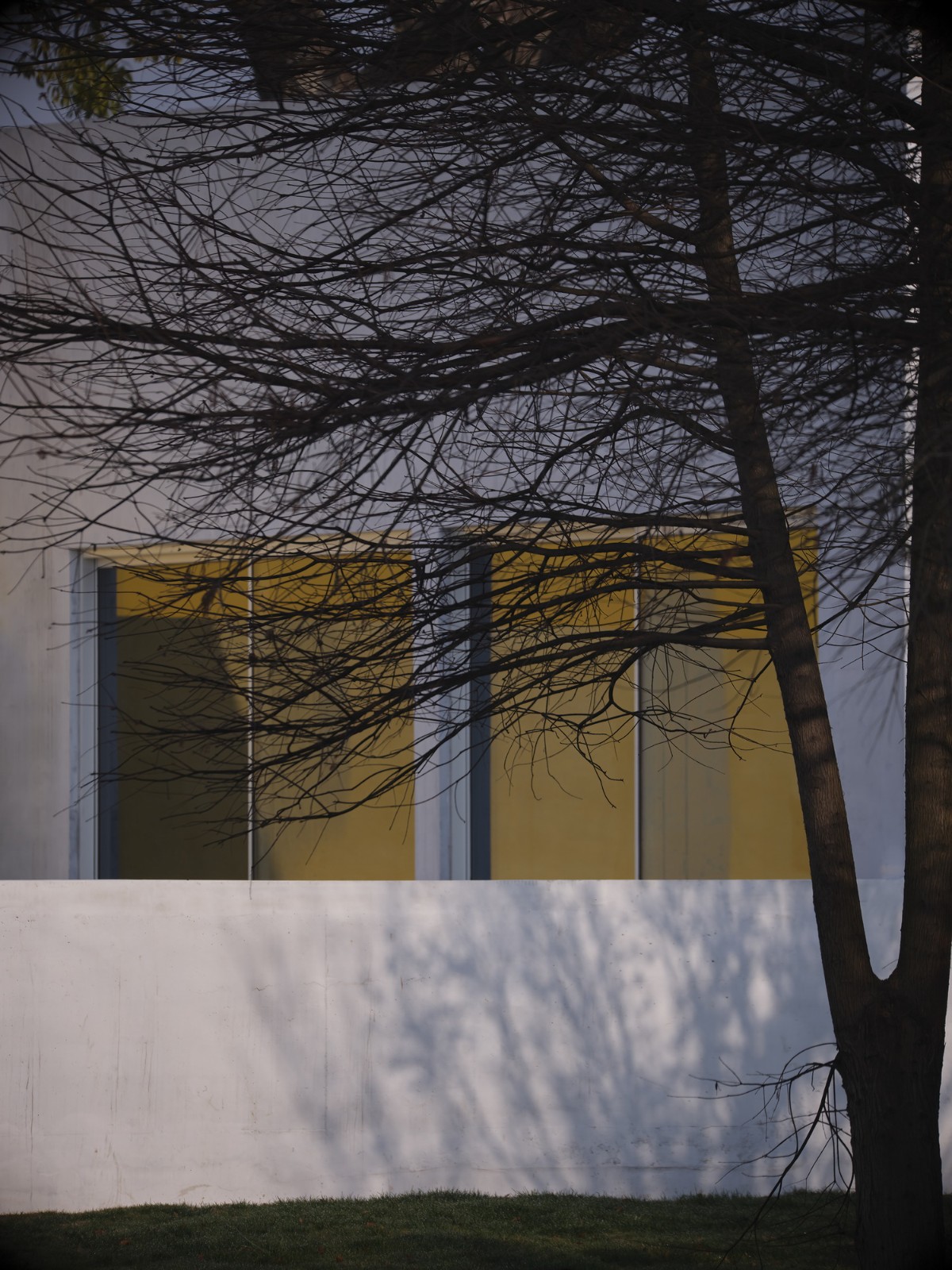 BIM建筑|“q” Center —上海廊下村民活动中心 / Atelier tf + ppas