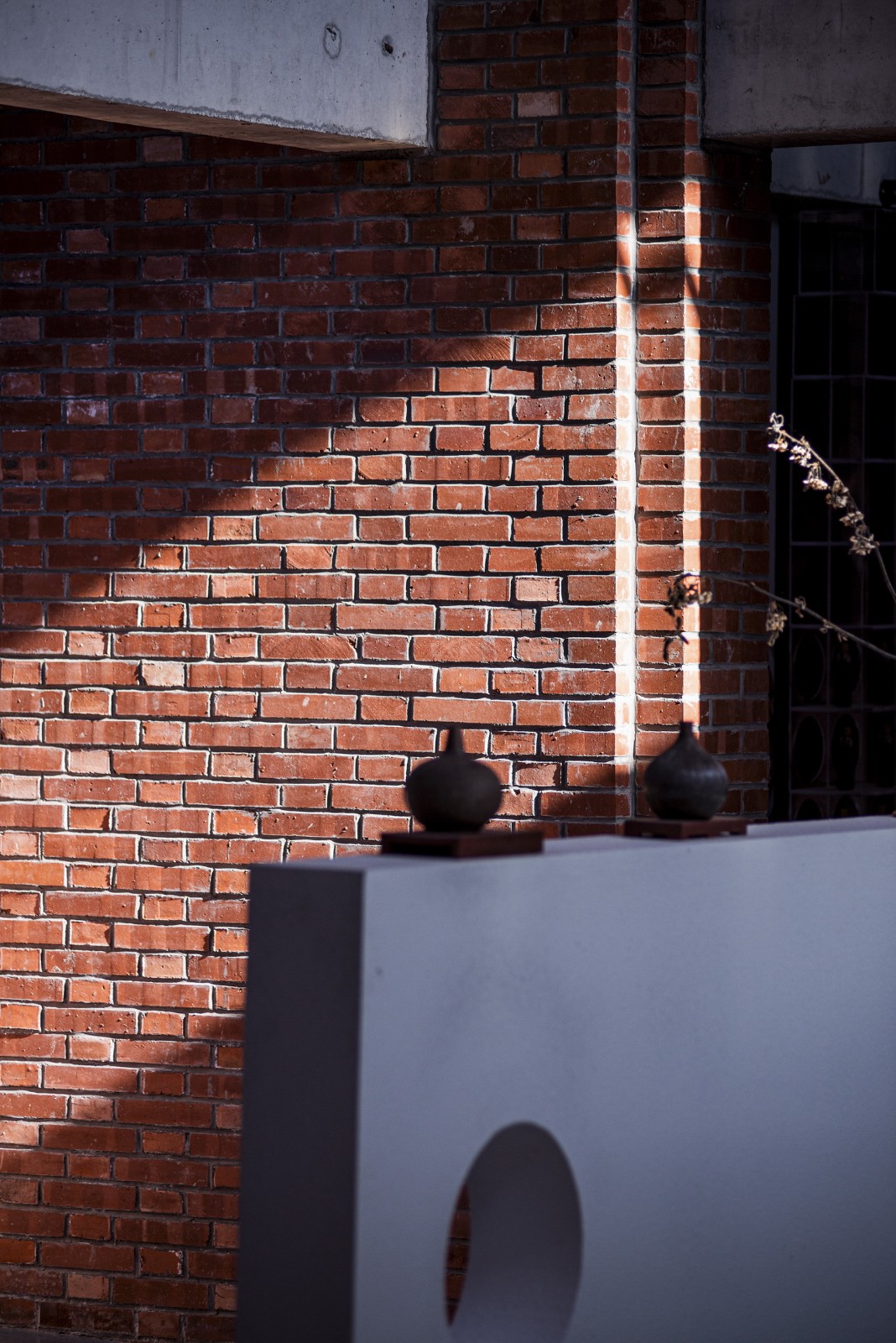 BIM建筑|李桂芬乡村综合体 / 山东省城乡规划设计研究院有限公司建筑创作中心