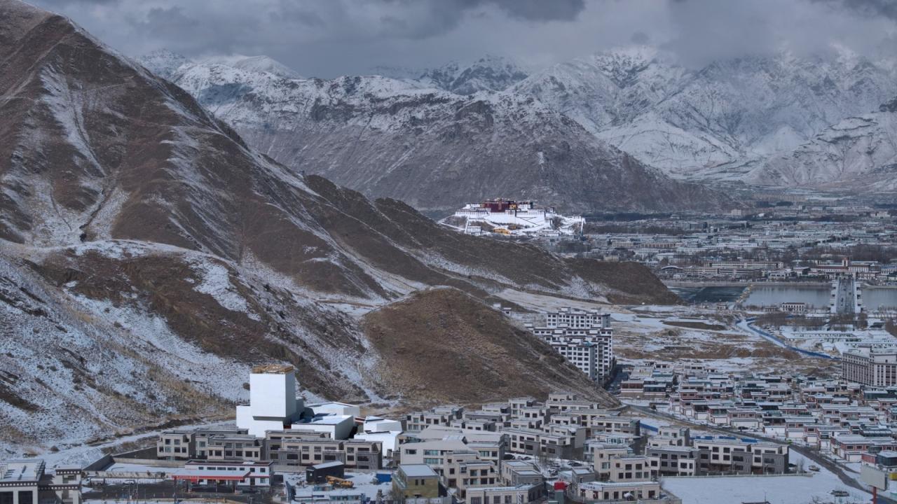 BIM建筑|西藏唐卡艺术博物馆 / AND Studio