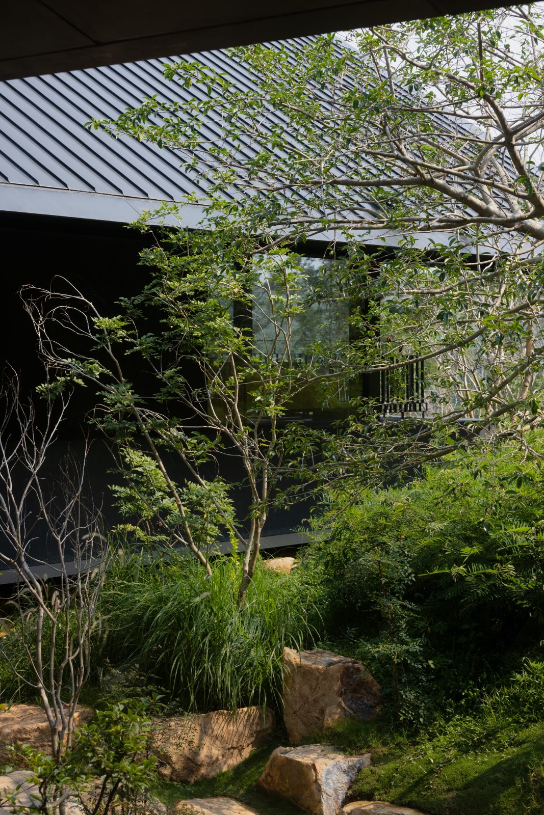 BIM建筑|三亚山谷餐厅（森海·四葉） / PLAT ASIA