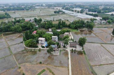 BIM建筑|跨越千年农耕生活的对谈：新都·百草香庐 / 小隐建筑-BIM建筑网