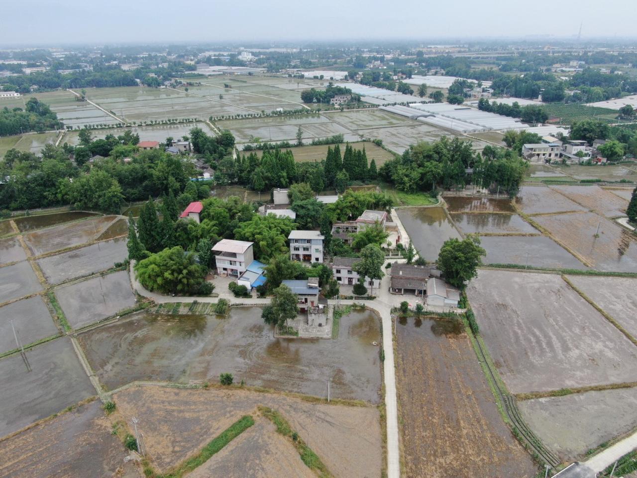 BIM建筑|跨越千年农耕生活的对谈：新都·百草香庐 / 小隐建筑