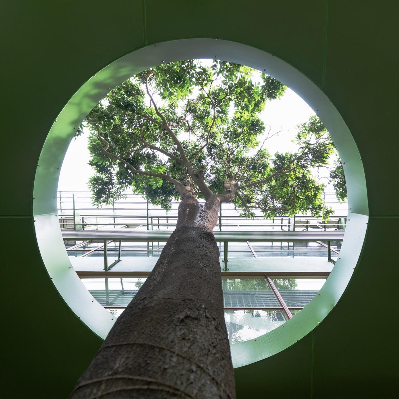 BIM建筑|深圳市碧榕湾幼儿园改造 / 不也设计工作室