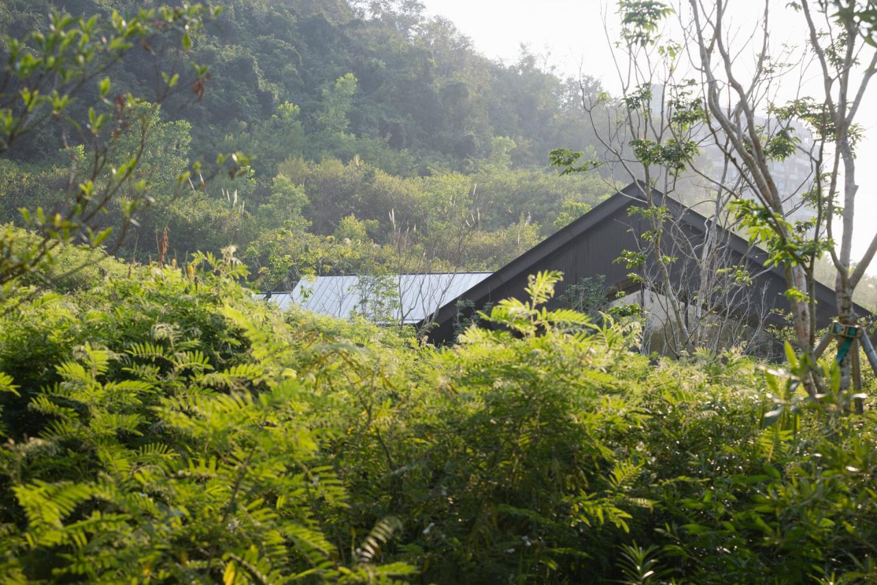 BIM建筑|三亚山谷餐厅（森海·四葉） / PLAT ASIA