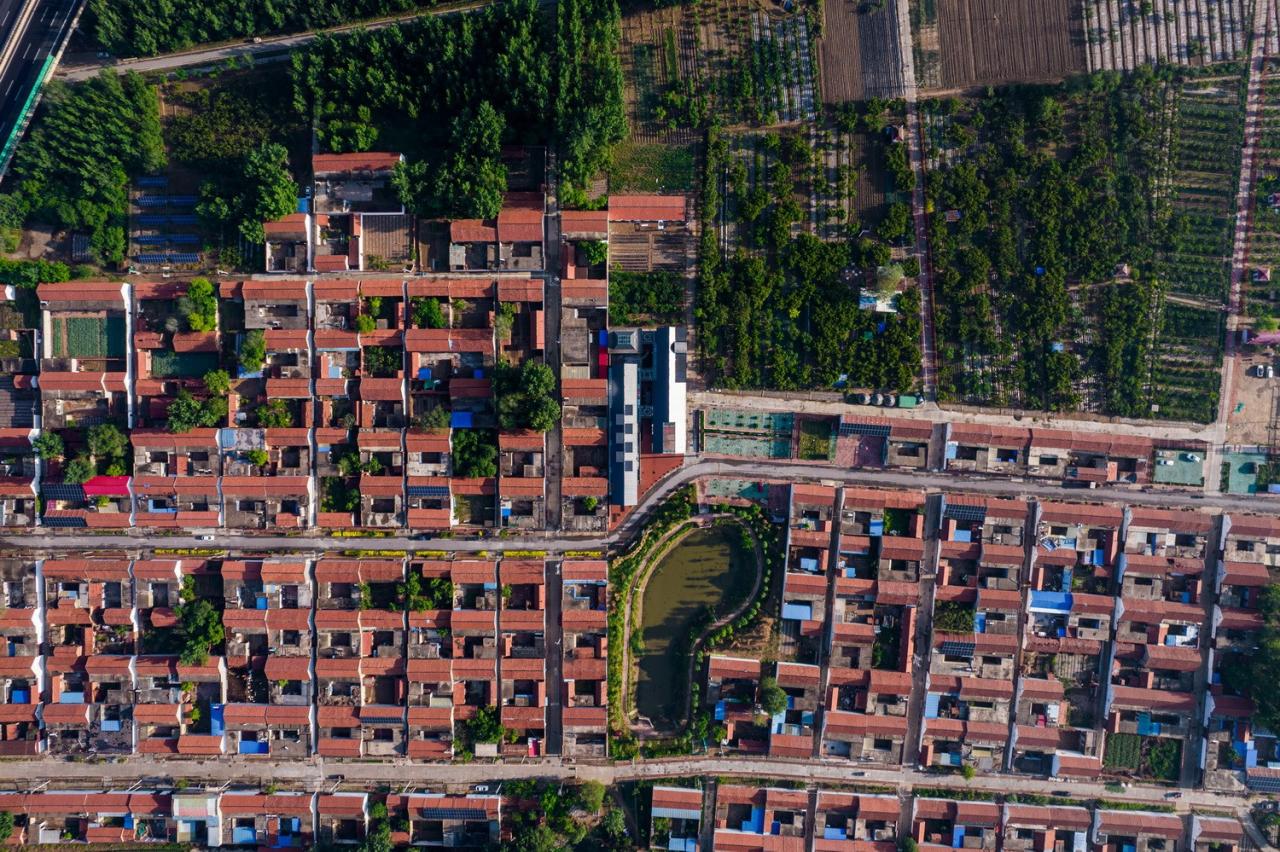 BIM建筑|李桂芬乡村综合体 / 山东省城乡规划设计研究院有限公司建筑创作中心