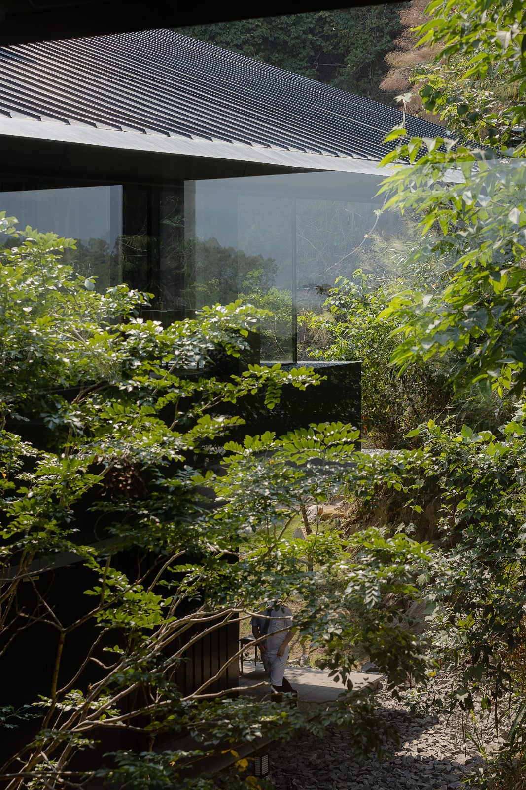 BIM建筑|三亚山谷餐厅（森海·四葉） / PLAT ASIA