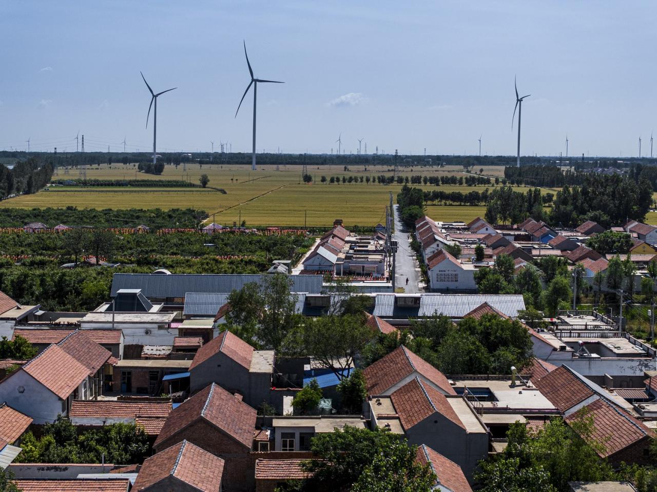 BIM建筑|李桂芬乡村综合体 / 山东省城乡规划设计研究院有限公司建筑创作中心