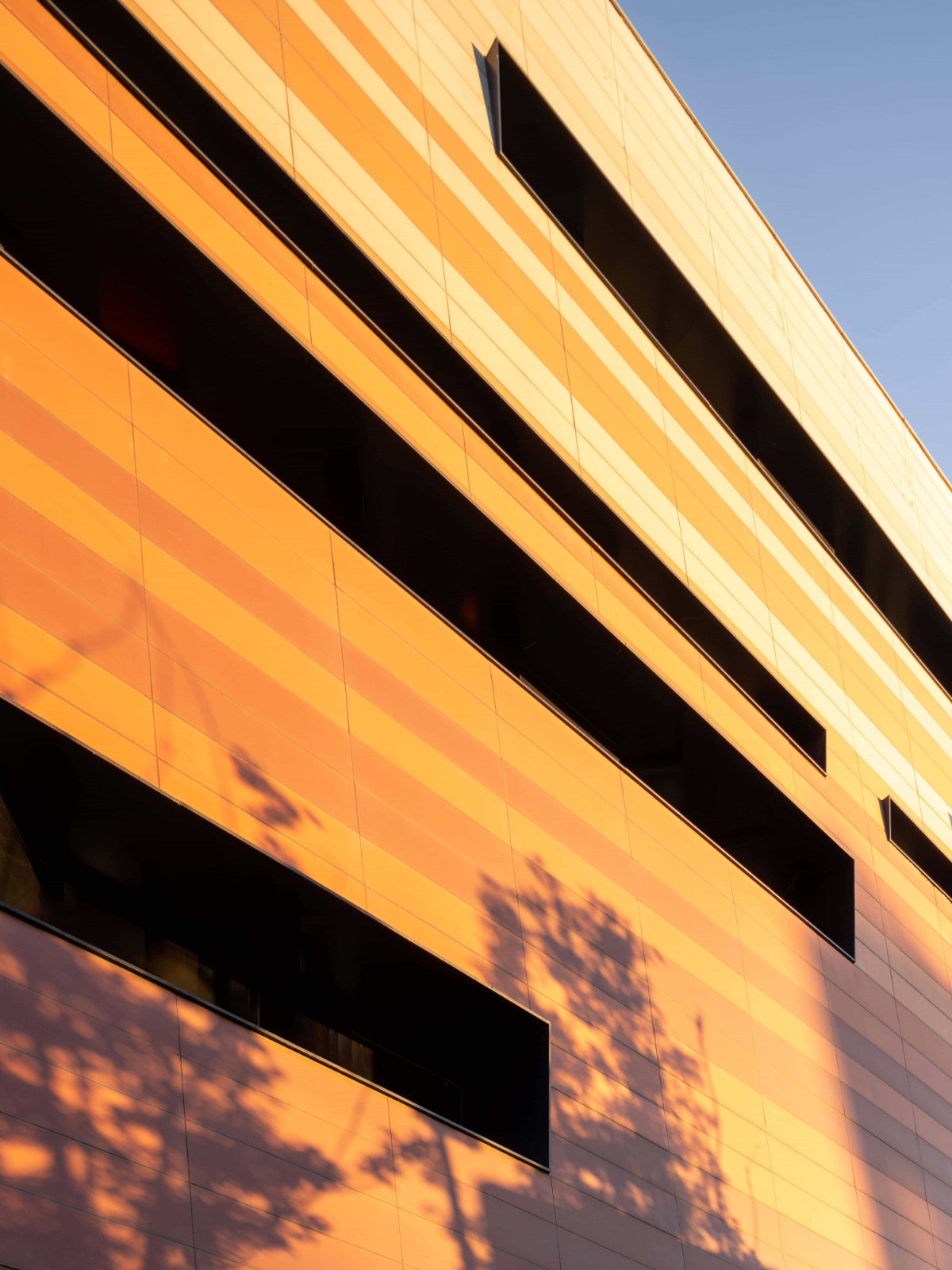 BIM建筑|金地方邻泗泾商业中心 / Wutopia Lab