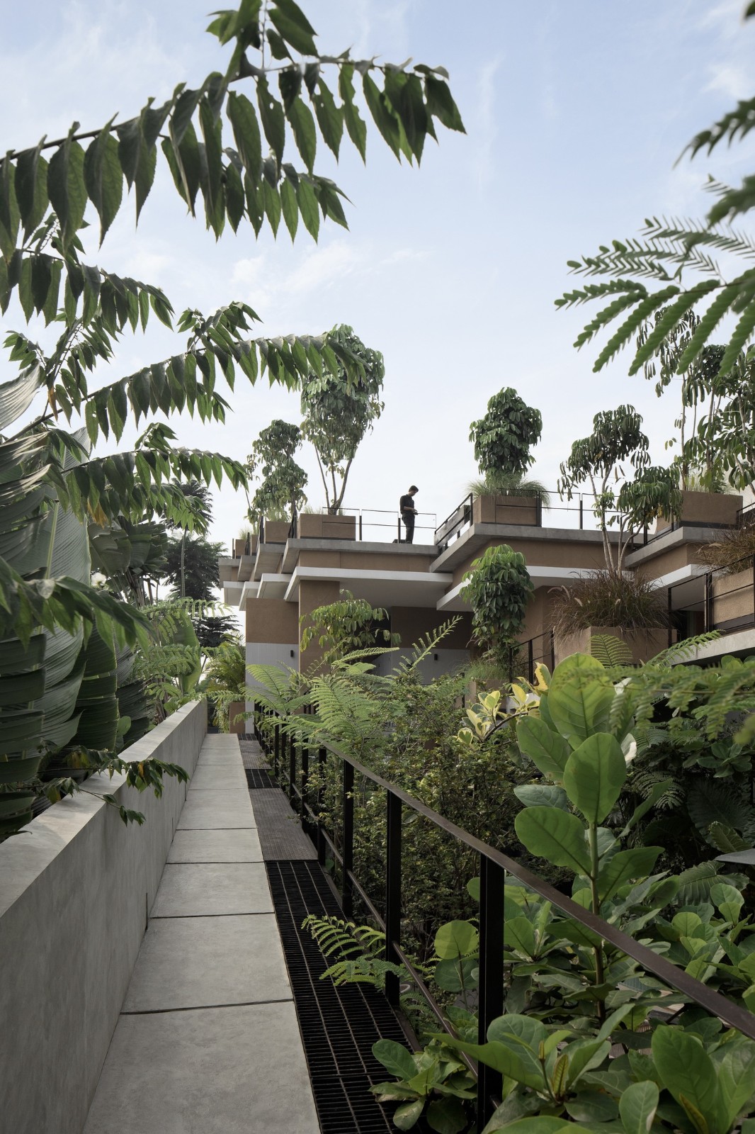 BIM建筑|Aruma 分层花园 / RAD+ar