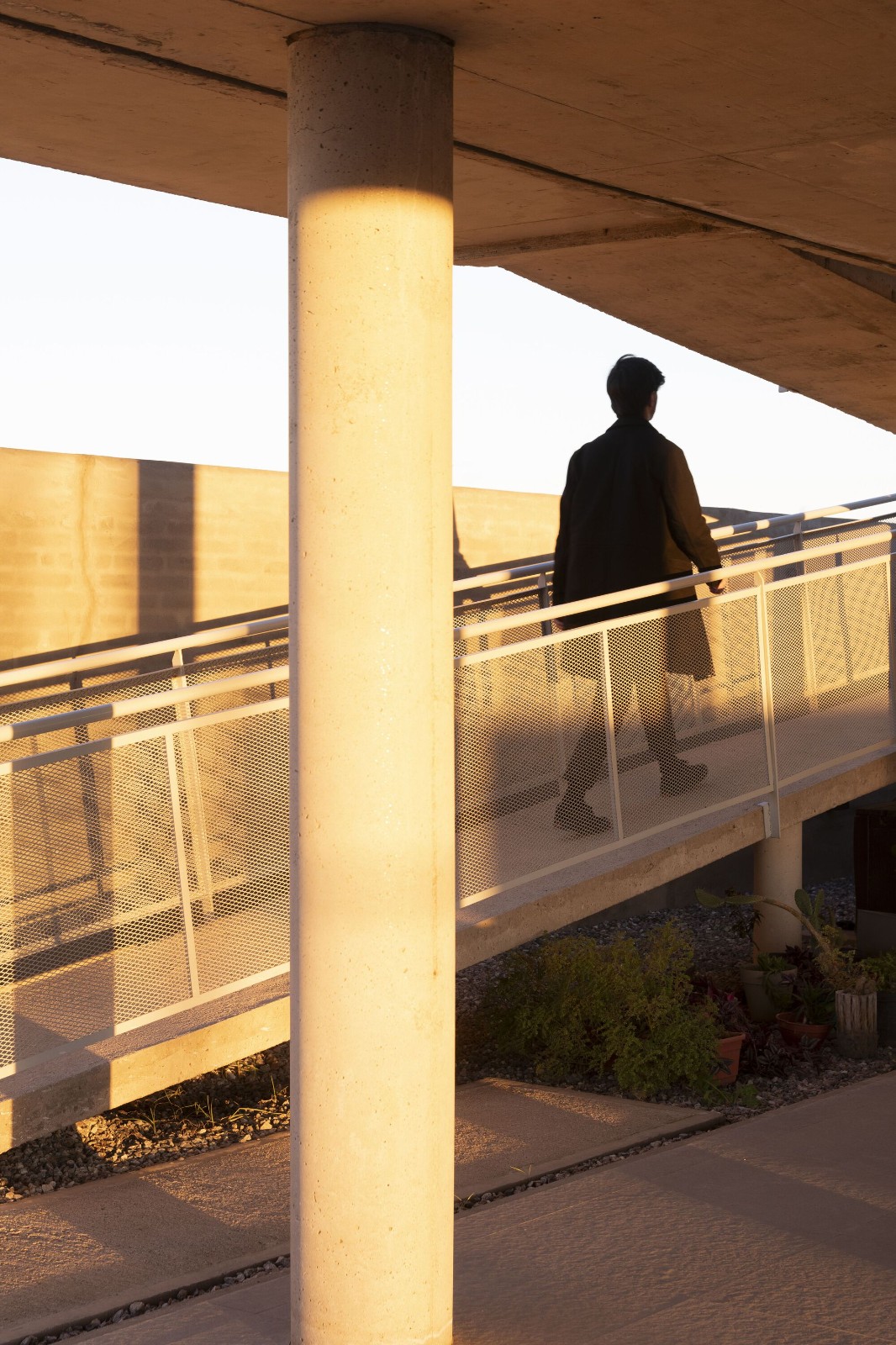 BIM建筑|柱间住宅 / Esteras Perrote