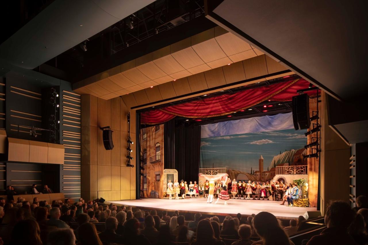 BIM建筑|Field 艺术与活动大厅 / LMN Architects