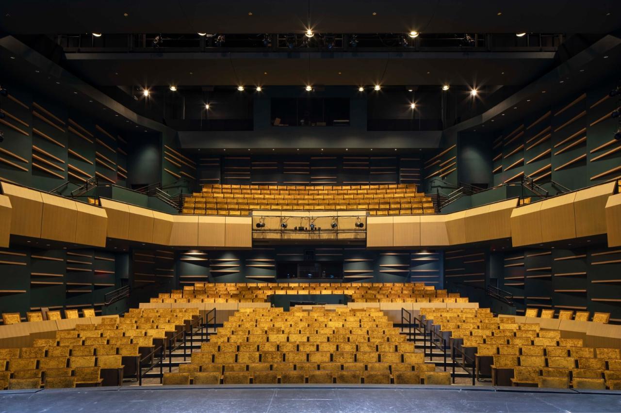 BIM建筑|Field 艺术与活动大厅 / LMN Architects