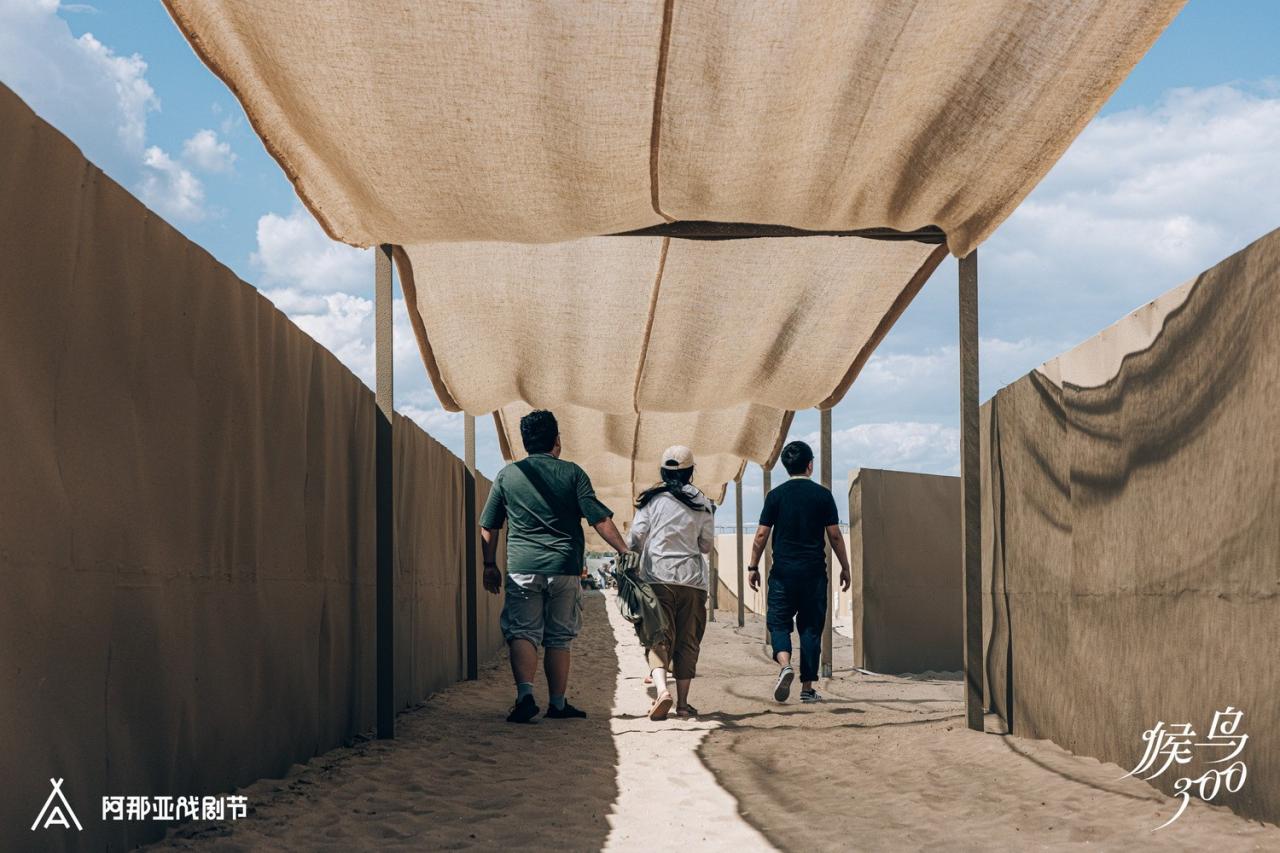 BIM建筑|候鸟沙城 ：“2024阿那亚戏剧节”新作 / 马岩松