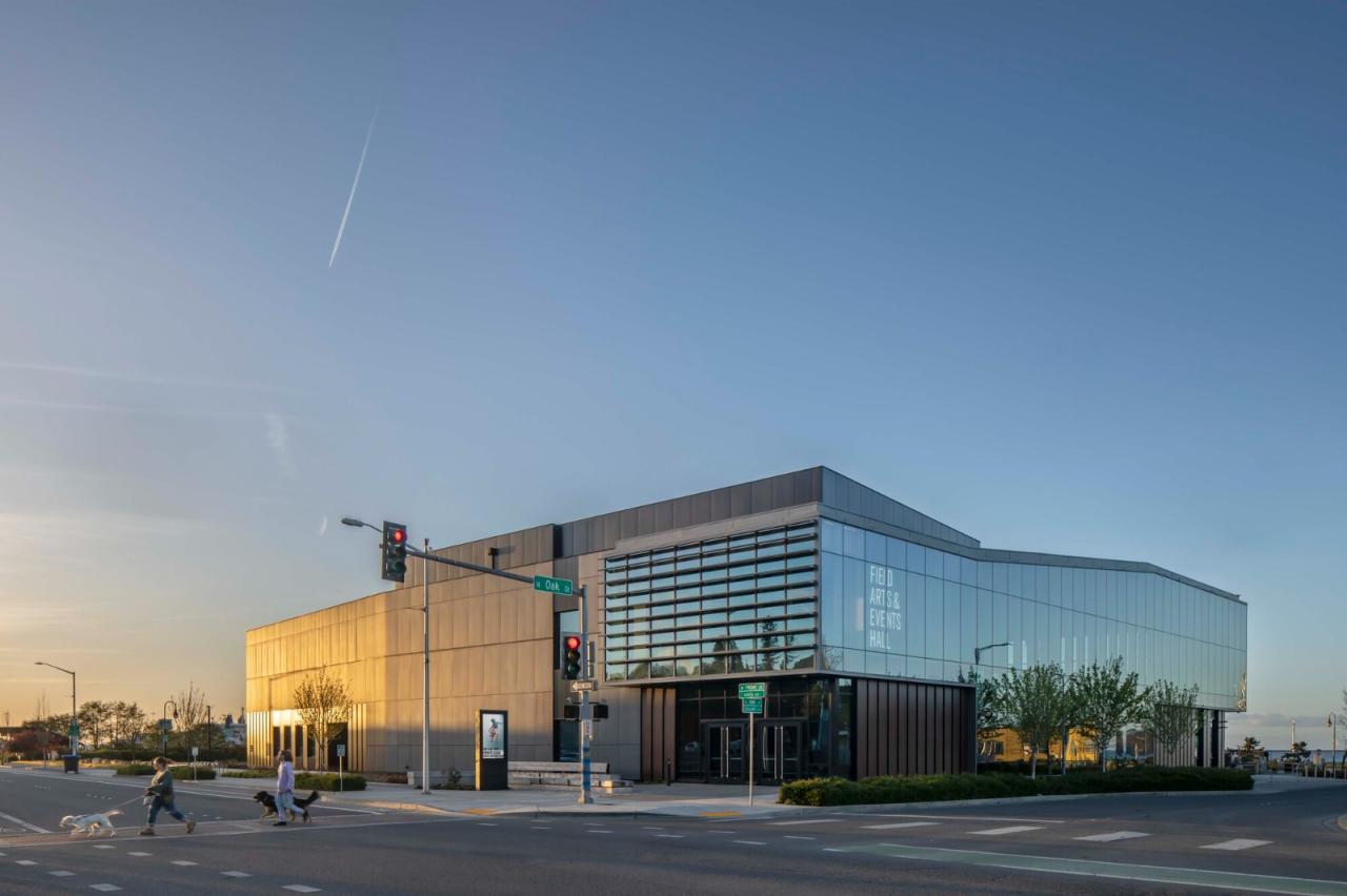 BIM建筑|Field 艺术与活动大厅 / LMN Architects