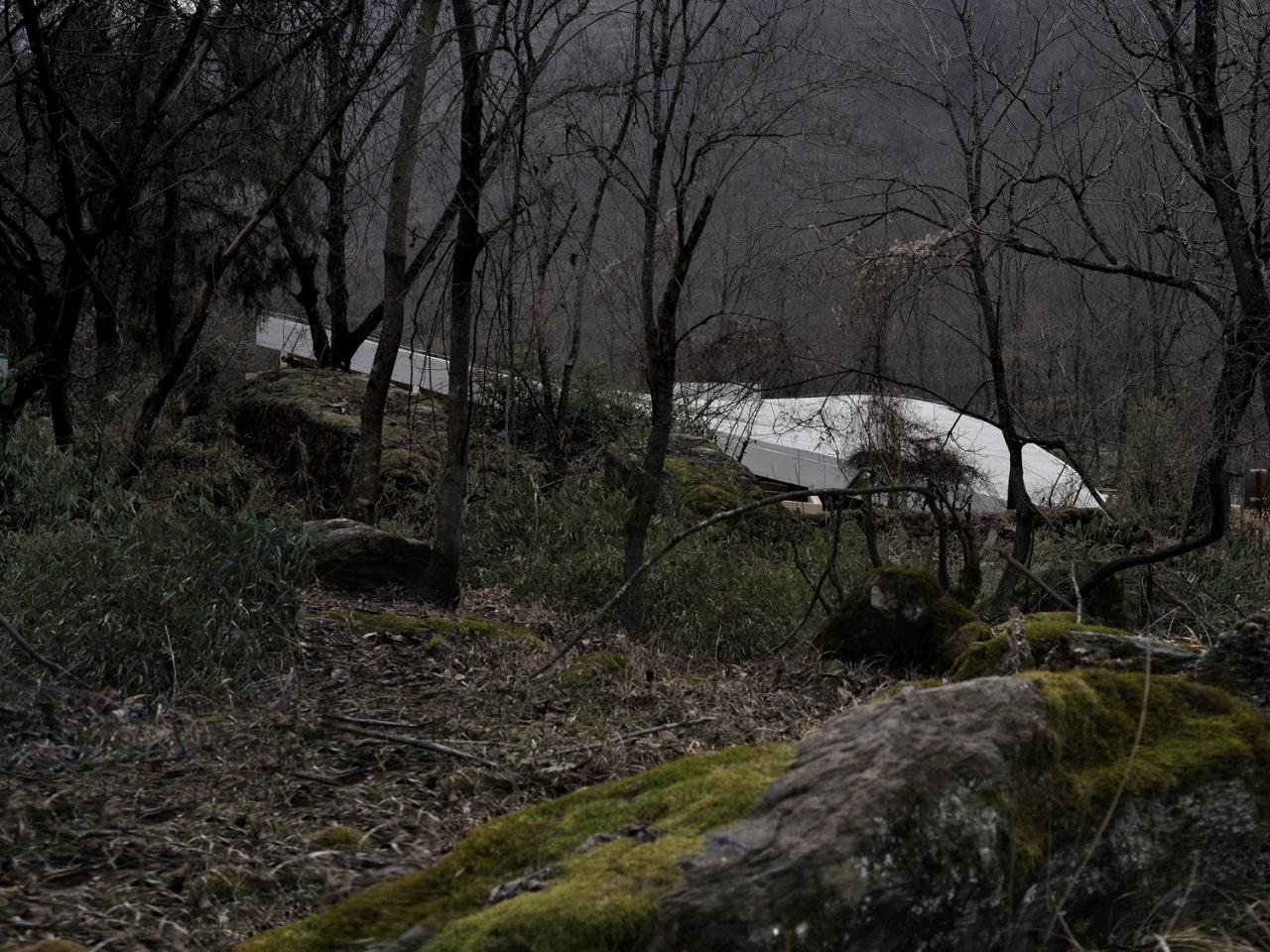 BIM建筑|唐家河自然教育中心 / 合造社建筑设计