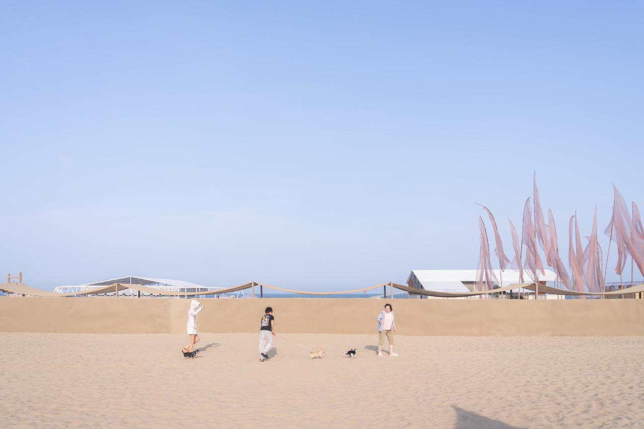 BIM建筑|候鸟沙城 ：“2024阿那亚戏剧节”新作 / 马岩松