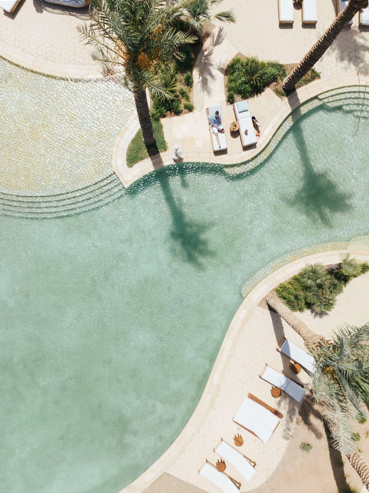 BIM建筑|红海南部沙丘六善酒店 / 福斯特建筑事务所