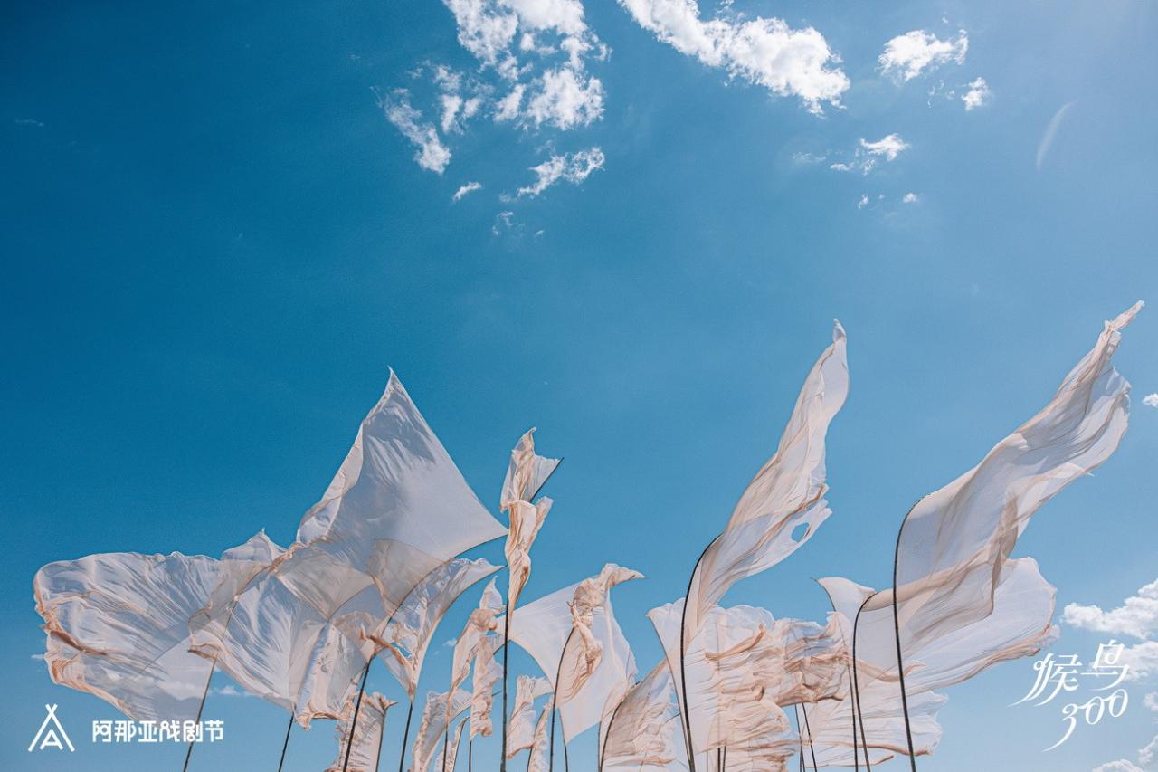 BIM建筑|候鸟沙城 ：“2024阿那亚戏剧节”新作 / 马岩松