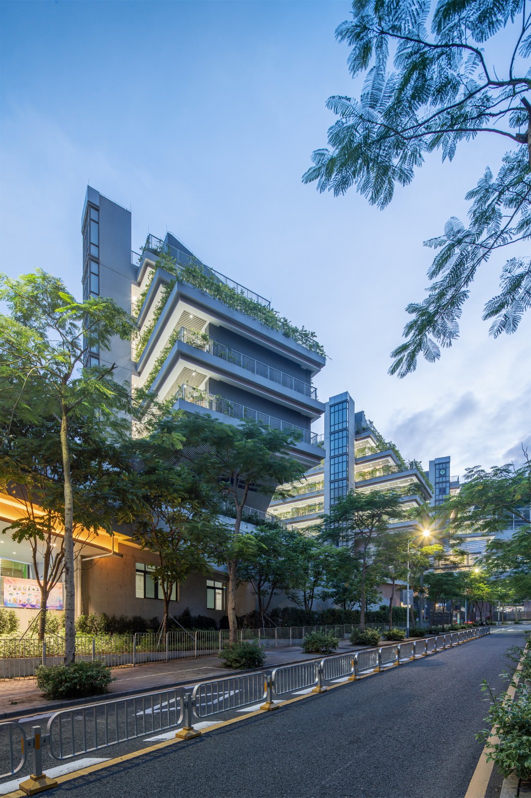 BIM建筑|“上山”校园：深圳福田实验教育集团侨香学校·北校区 / 申都设计