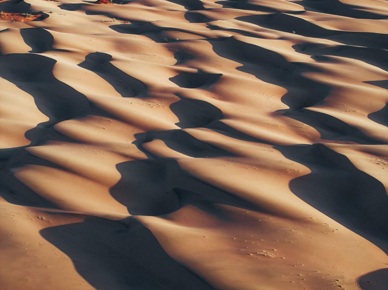 BIM建筑|红海南部沙丘六善酒店 / 福斯特建筑事务所