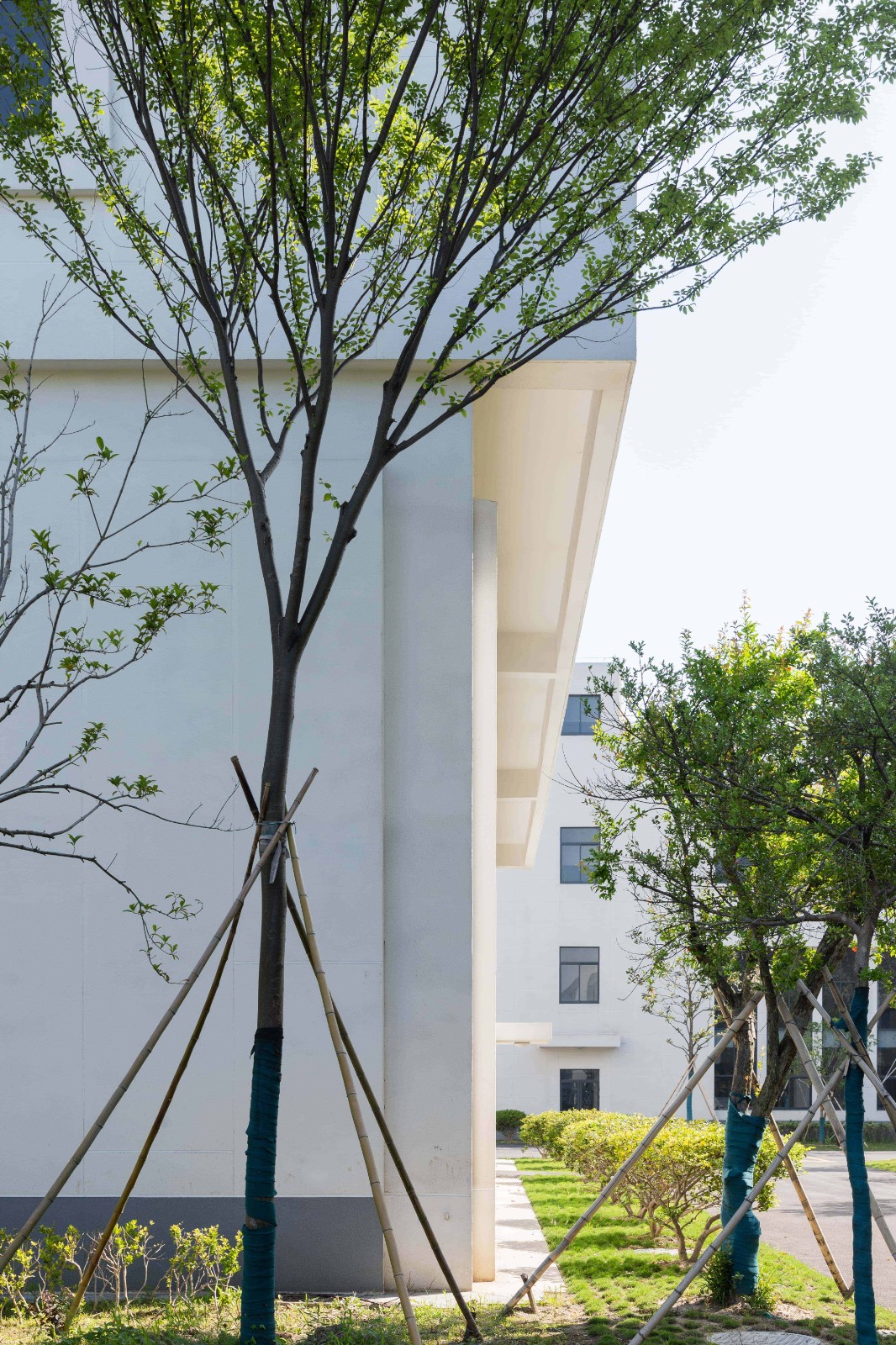 BIM建筑|美术馆语境下的温情工厂/ 田字格建筑事务所