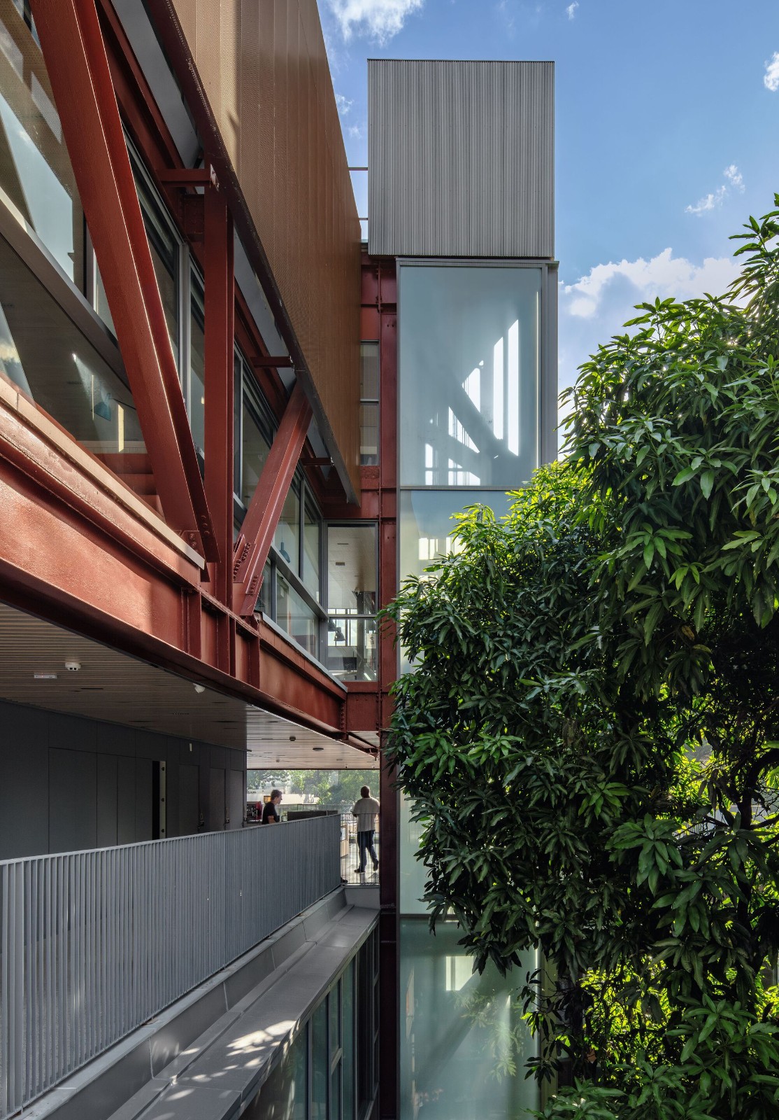 BIM建筑|鲁道夫斯坦纳大学 / Biselli Katchborian Arquitetos