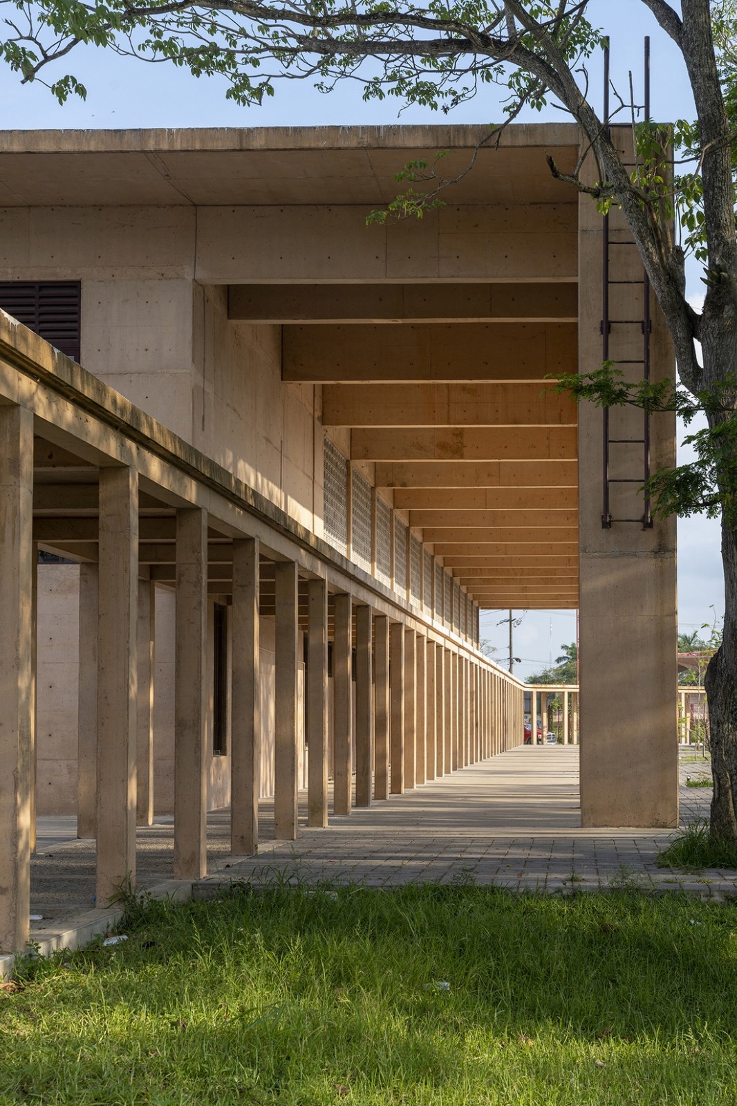 BIM建筑|Manuel Vargas Iziquierdo 棒球场与体育中心 / Bernardo Quinzaños + CCA Centro de Colaboración Arquitectónica
