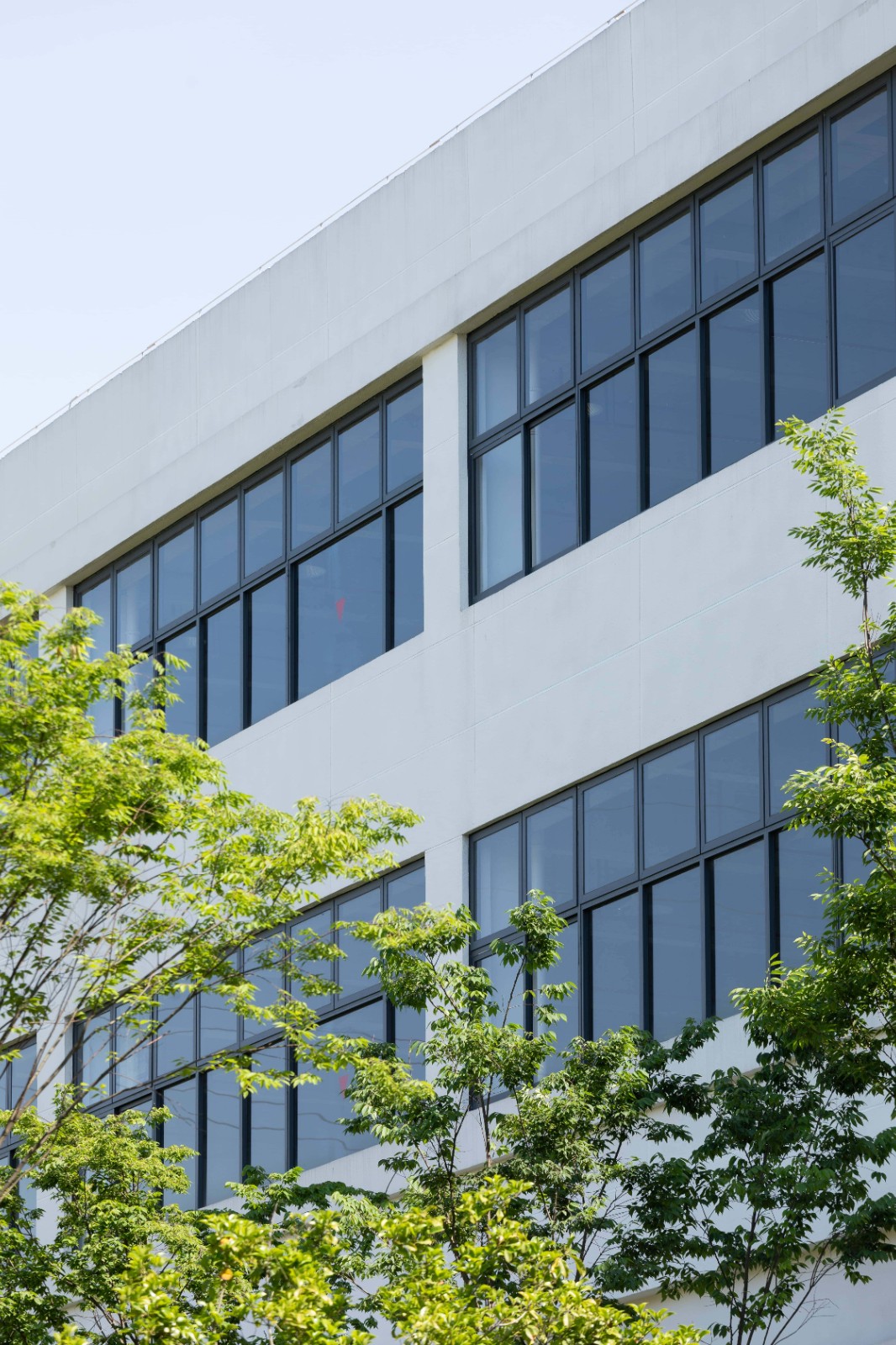 BIM建筑|美术馆语境下的温情工厂/ 田字格建筑事务所