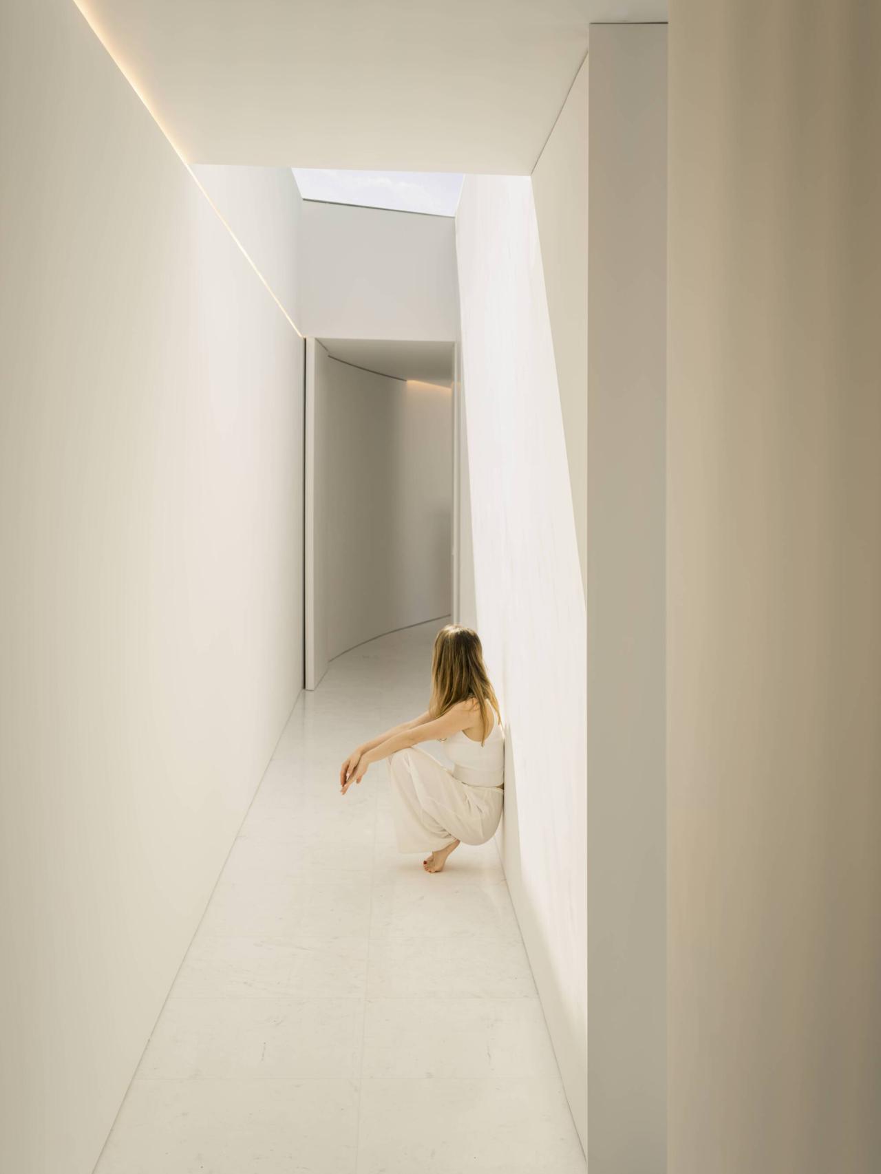 BIM建筑|Sabater 别墅 / Fran Silvestre Arquitectos