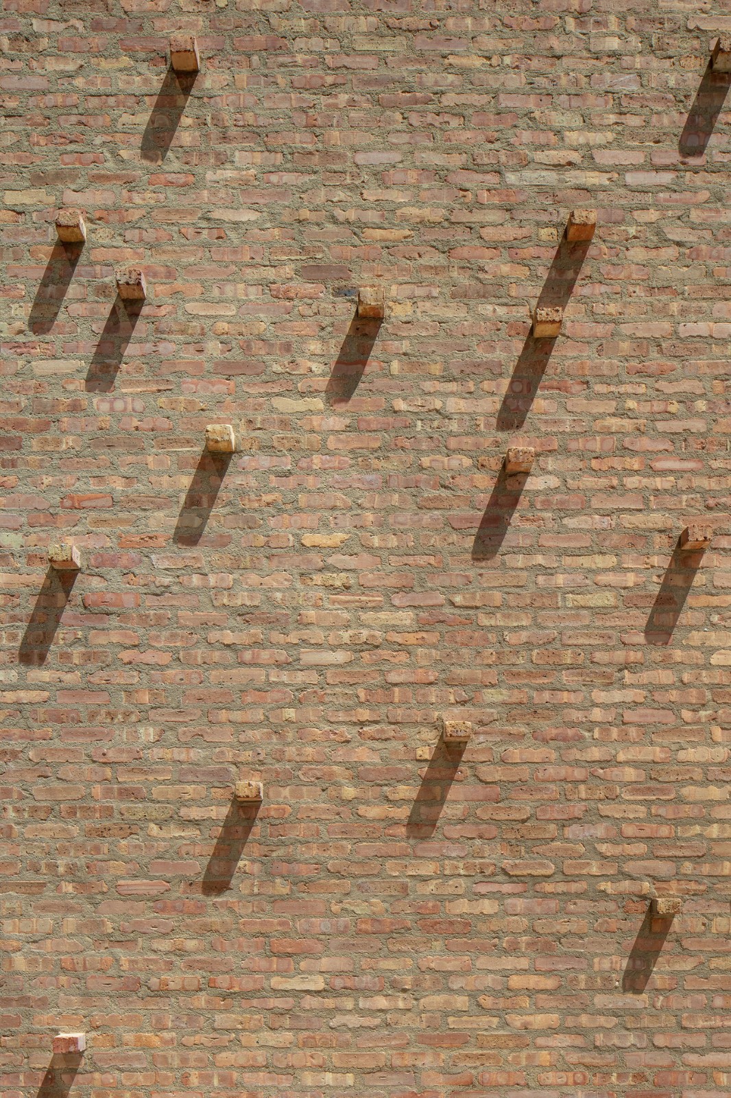 BIM建筑|芝加哥公园区总部和体育馆 / John Ronan Architects