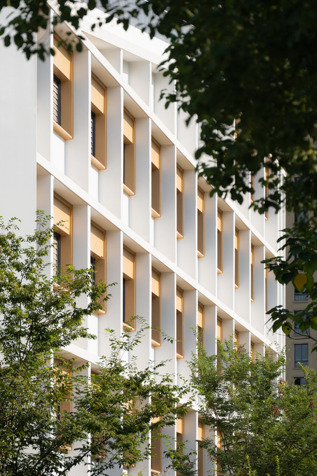 BIM建筑|成长阶梯，无界校园：杭州市上塘单元小学 / 浙江大学建筑设计研究院