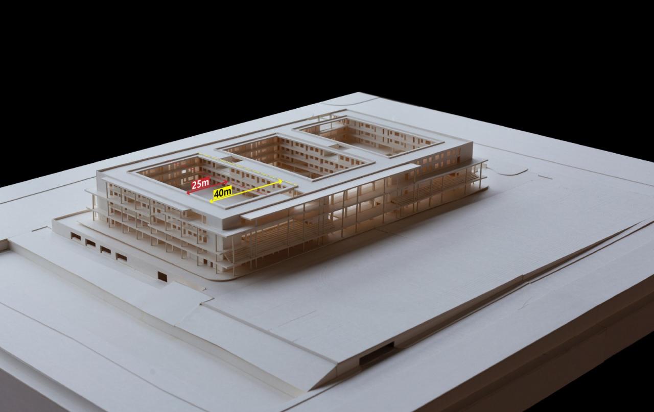 BIM建筑|仙林学校 / 雁飞建筑事务所