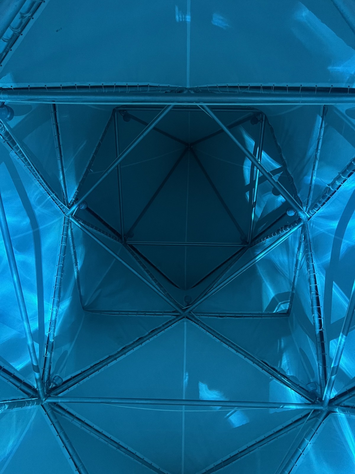 BIM建筑|人造树 / 有限设计工作室