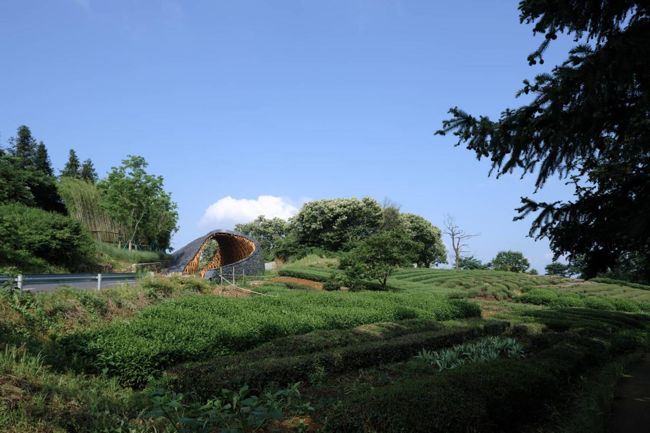 BIM建筑|上天入地：下岩贝穿云编木隧&腾云气象环 / 朱培栋-line+建筑事务所