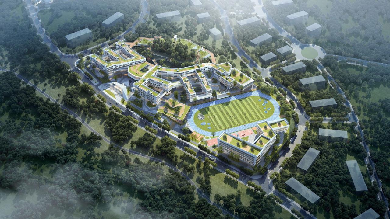 BIM建筑|三峡巴蜀中学：建筑与大地的和谐协奏 / 西筑设计作品