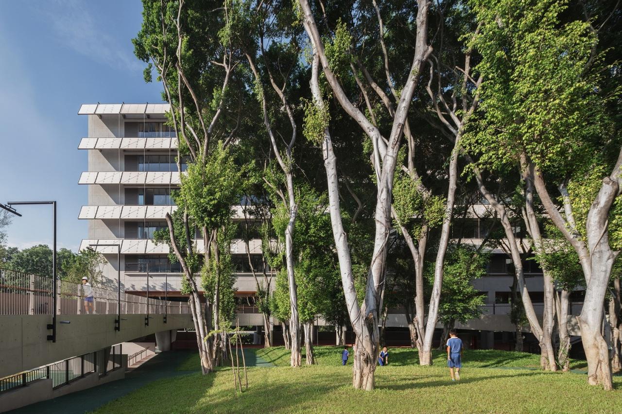 BIM建筑|深圳荔园外国语小学 / 直向建筑