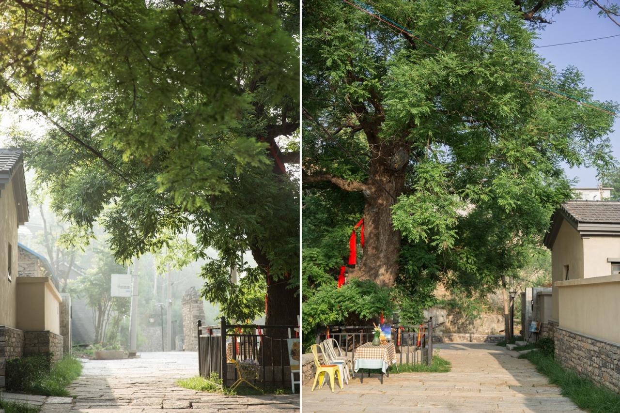 BIM建筑|以景为据：济南东泉村民宿集群设计 / GW空间设计