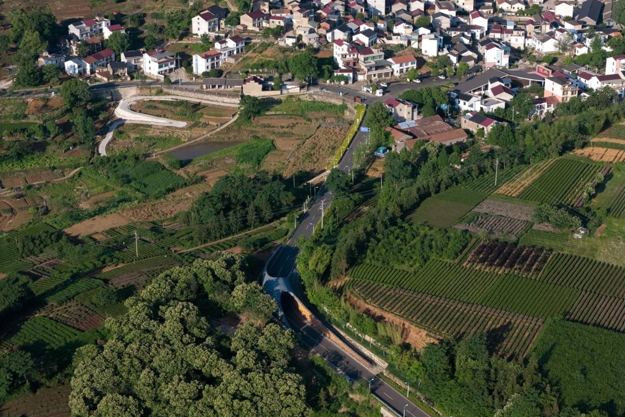 BIM建筑|上天入地：下岩贝穿云编木隧&腾云气象环 / 朱培栋-line+建筑事务所