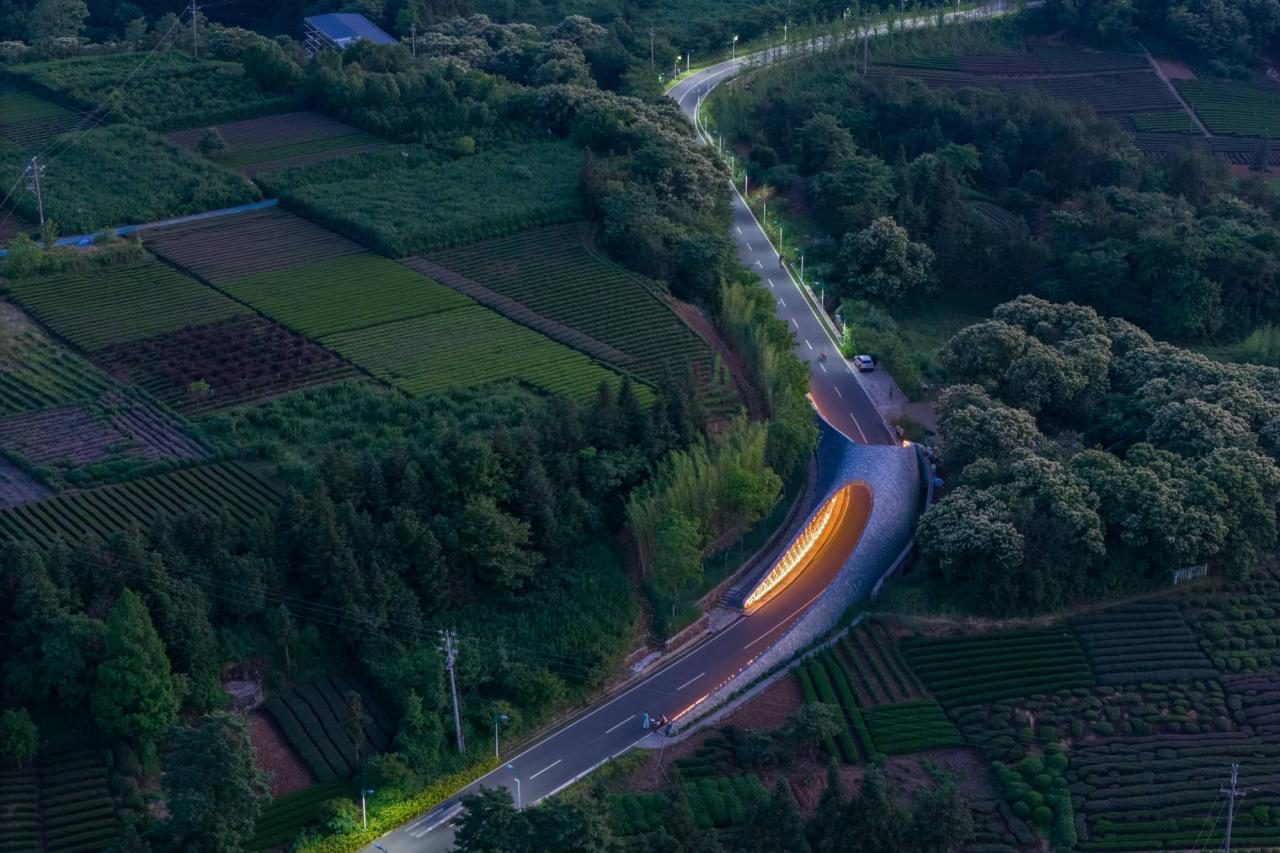 BIM建筑|上天入地：下岩贝穿云编木隧&腾云气象环 / 朱培栋-line+建筑事务所