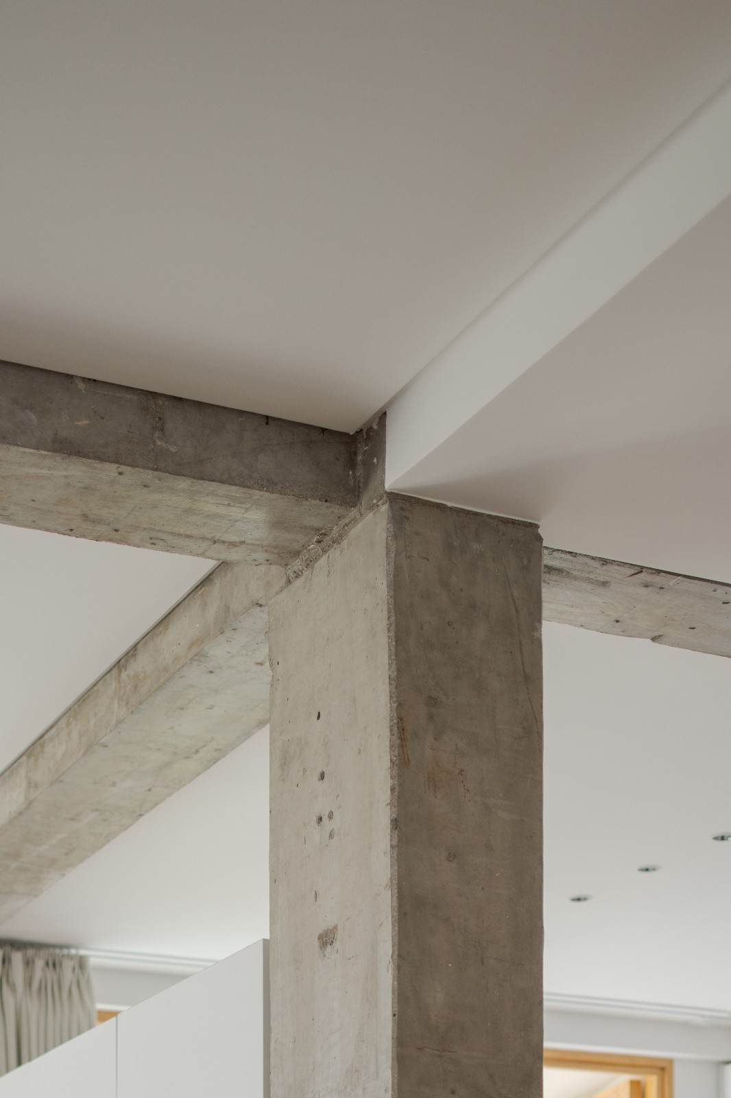 BIM建筑|小南居 / 直距建筑