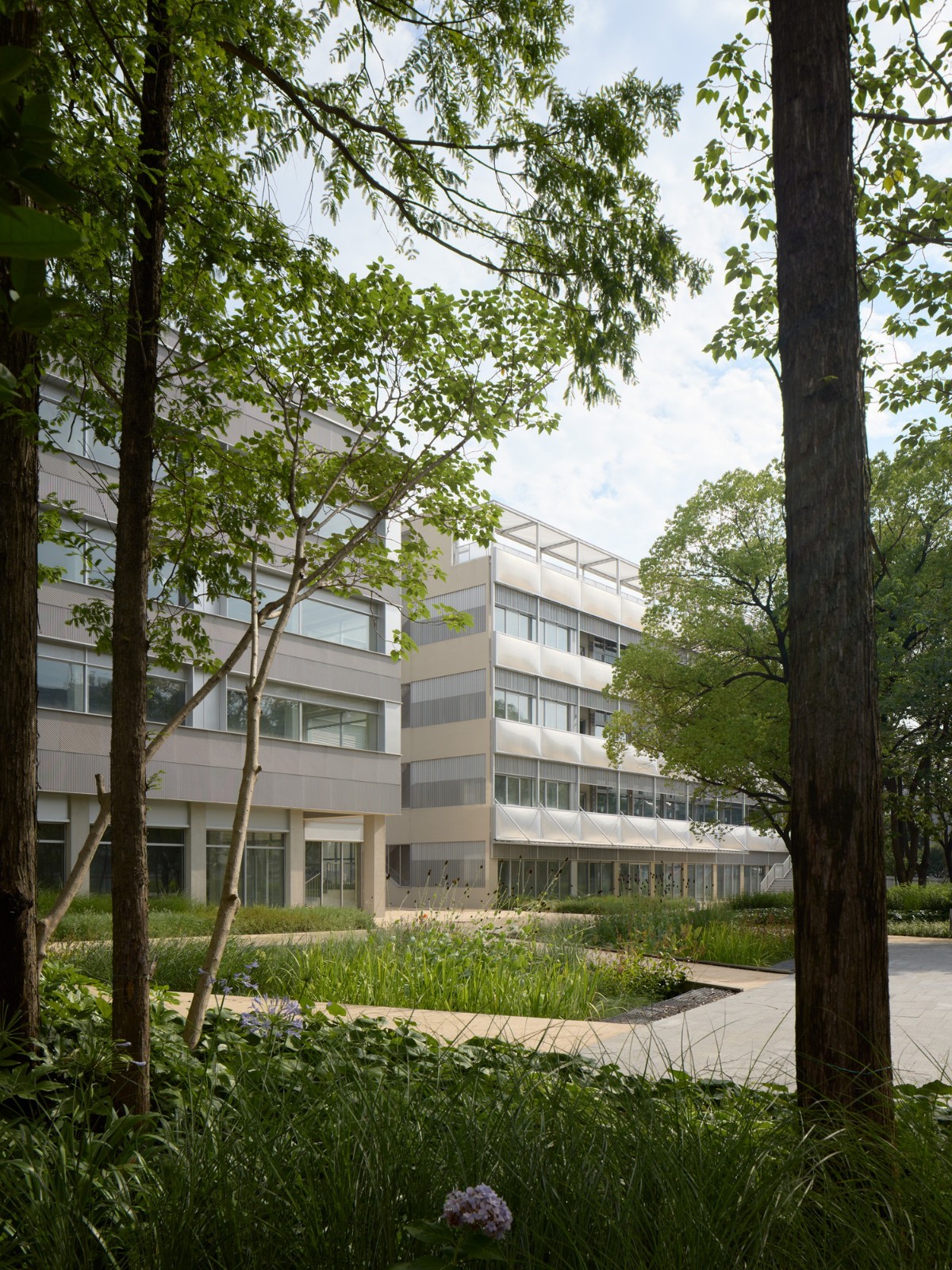 BIM建筑|上海继电器厂改造 / HCCH合尘建筑